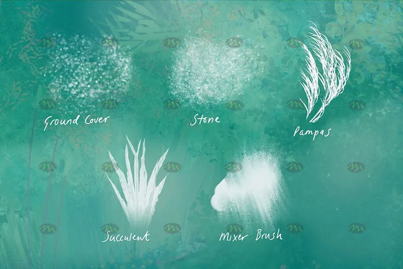 38个植物树叶|Procreate笔刷详情图 11