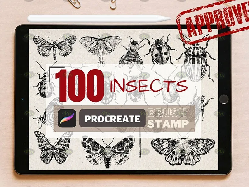 100个昆虫标本集|Procreate笔刷详情图 13
