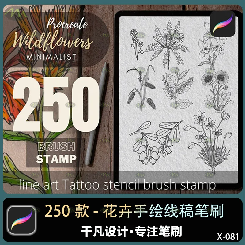 250个花卉手绘线稿｜Procreate笔刷