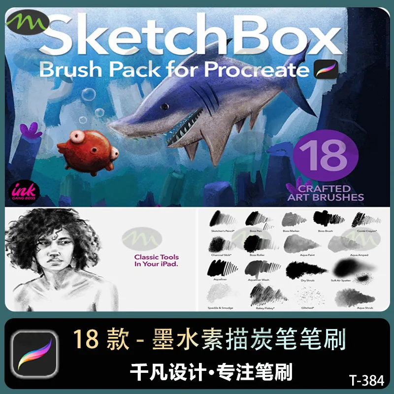 18款墨水素描炭笔插画|Procreate笔刷