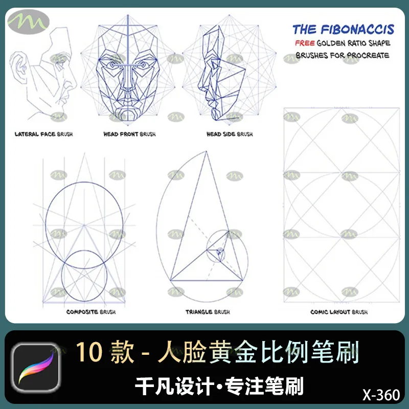 10个人脸黄金比例｜Procreate笔刷