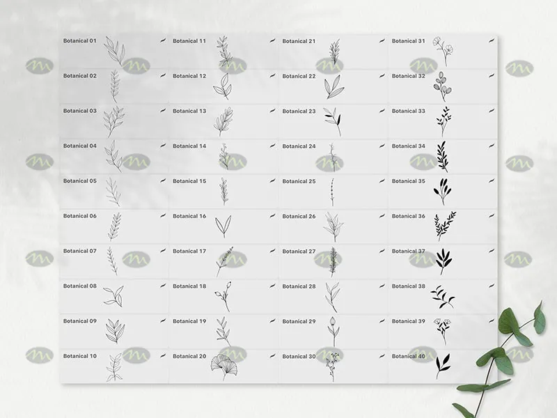 40个花卉植物简笔画|Procreate笔刷详情图 6