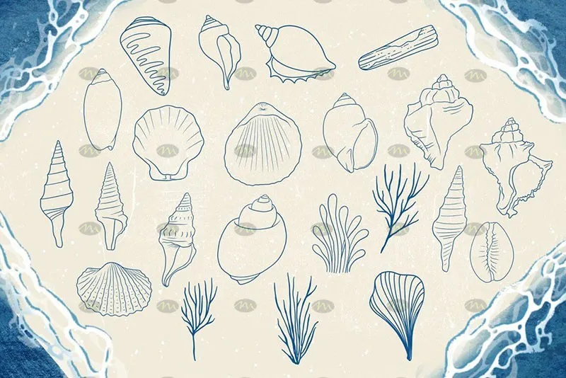 74个海洋生物卡通线描画|Procreate笔刷详情图 7