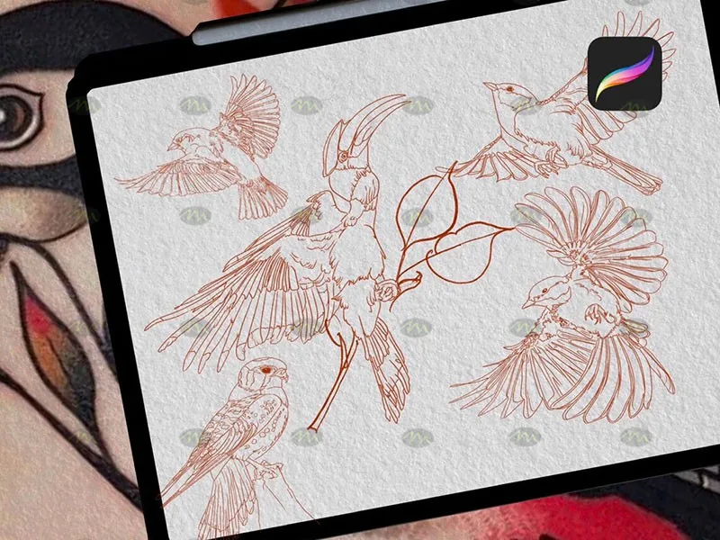50个鸟类纹身图案|Procreate笔刷详情图 8