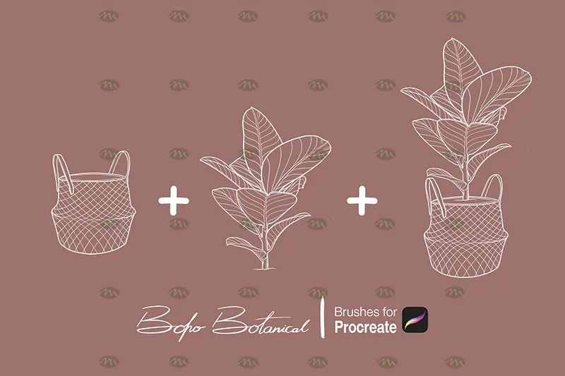 40个手绘植物印花|Procreate笔刷详情图 8