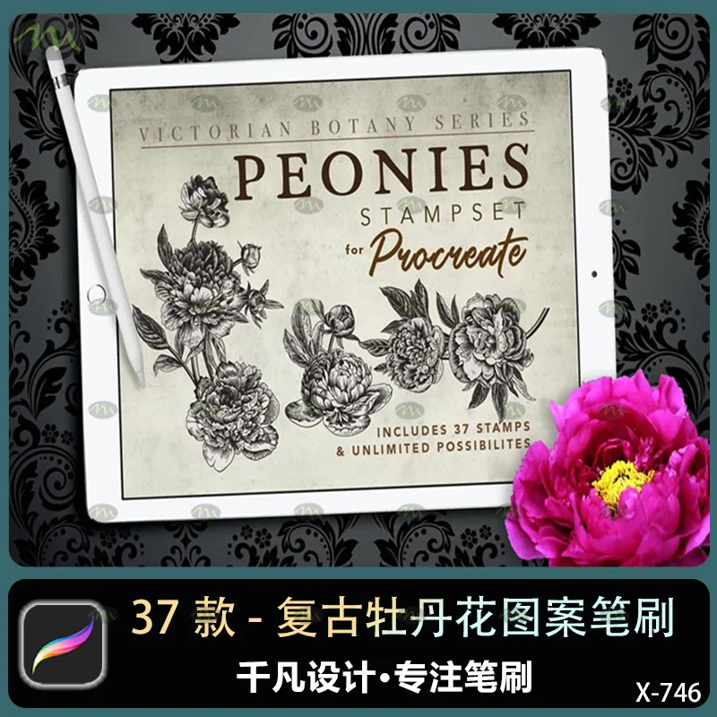 37个复古牡丹花图案｜Procreate笔刷