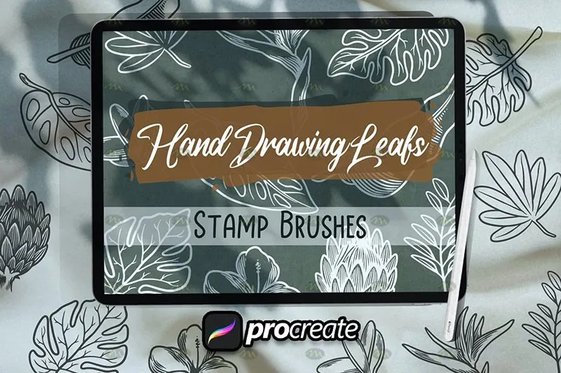 4个植物线描画｜Procreate笔刷详情图 6