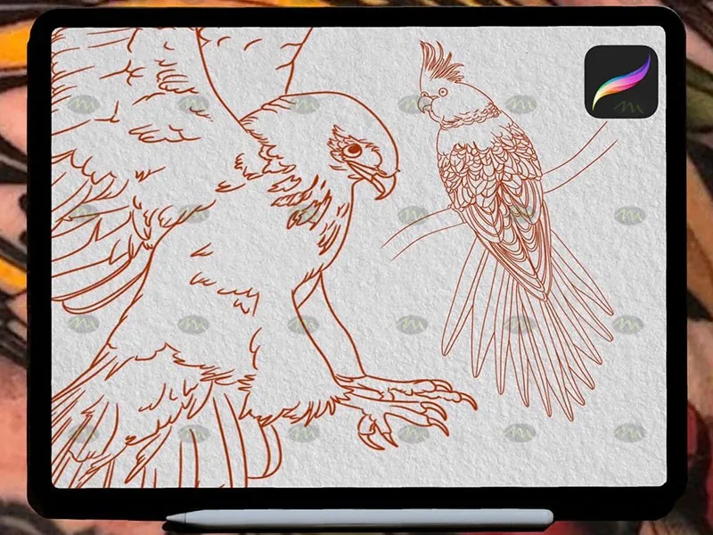50个鸟类纹身图案|Procreate笔刷详情图 7