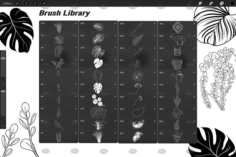 40个手绘植物印花|Procreate笔刷详情图 7