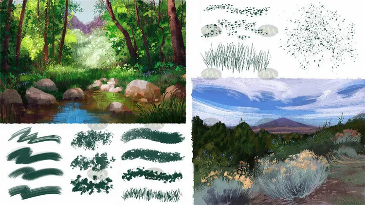64个仙人掌植物叶子海洋蕨类藻类|Procreate笔刷详情图 6