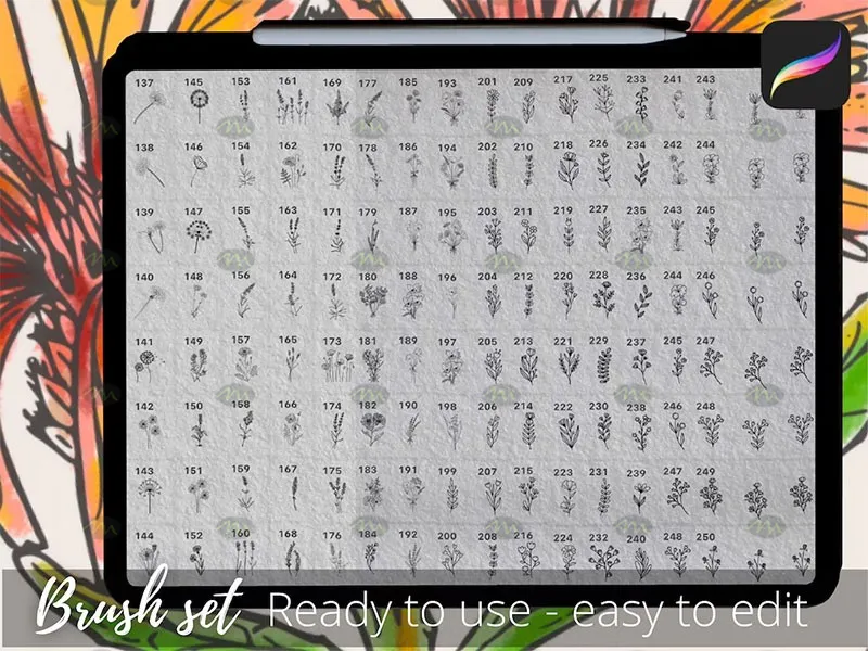 250个花卉手绘线稿|Procreate笔刷详情图 7