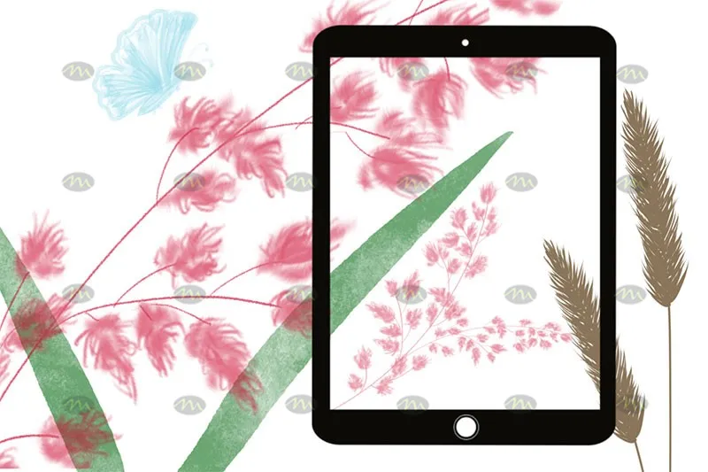 40个花草植物图章|Procreate笔刷详情图 8