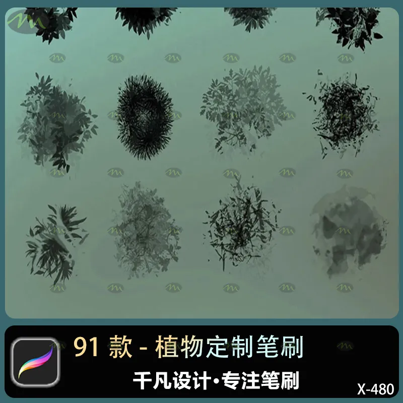 91个植物定制｜Procreate笔刷