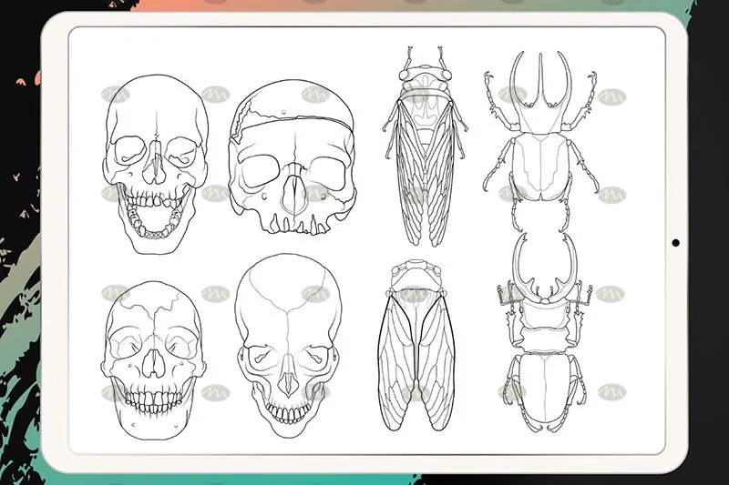 50个刺青纹身图案|Procreate笔刷详情图 7