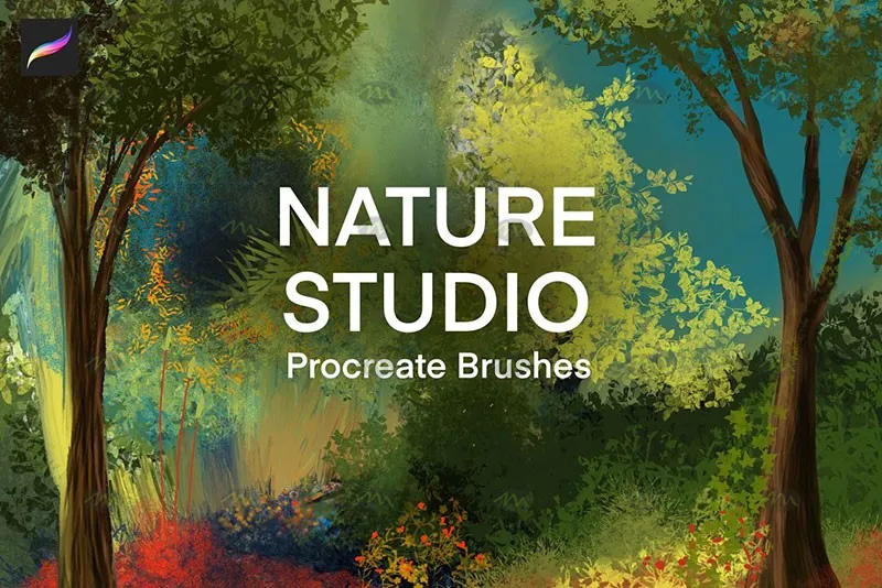 38个植物树叶|Procreate笔刷详情图 14