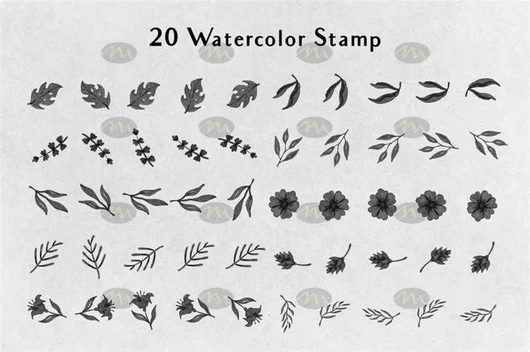 20个叶子描边素描花卉剪影图案|Procreate笔刷详情图 7