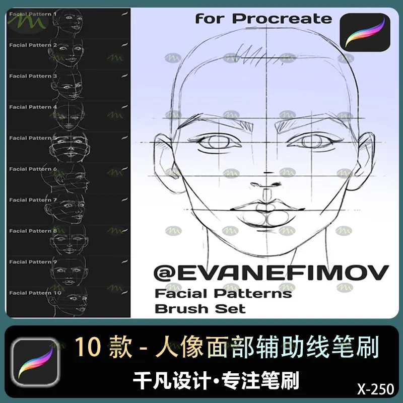 10个人像面部辅助线｜Procreate笔刷
