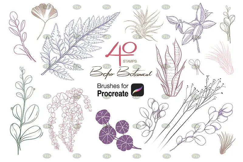 40个手绘植物印花|Procreate笔刷详情图 6