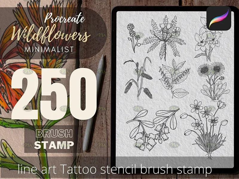 250个花卉手绘线稿|Procreate笔刷详情图 11