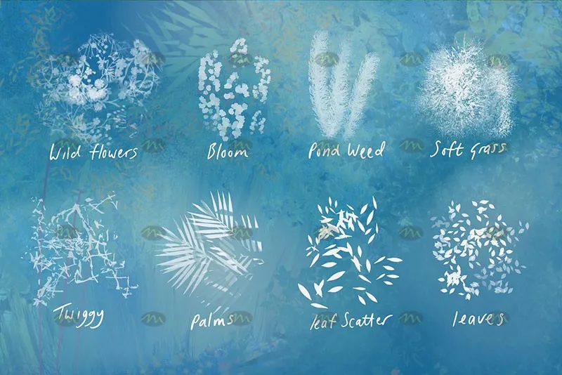 38个植物树叶|Procreate笔刷详情图 8