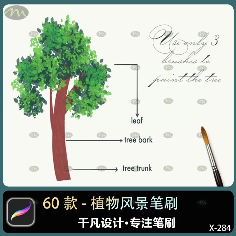 60个植物风景｜Procreate笔刷