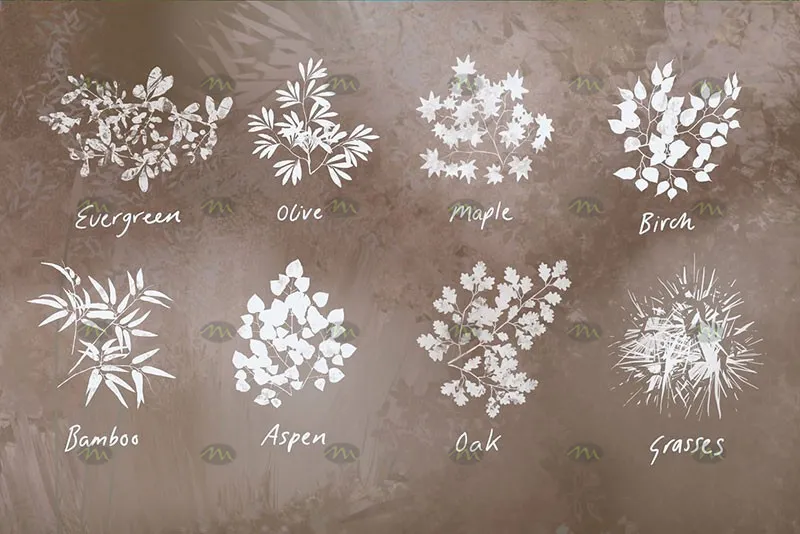 38个植物树叶|Procreate笔刷详情图 9