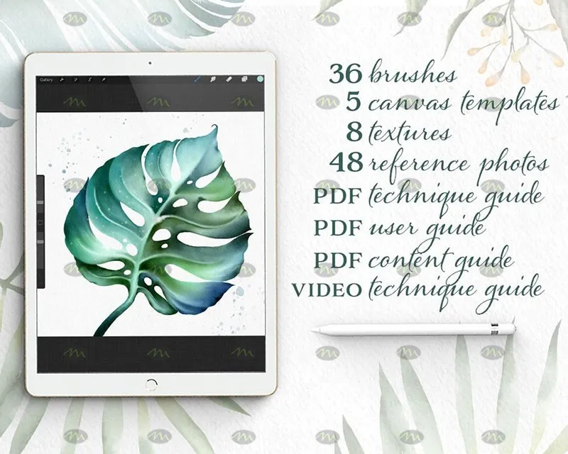 36个植物花卉水彩|Procreate笔刷详情图 9