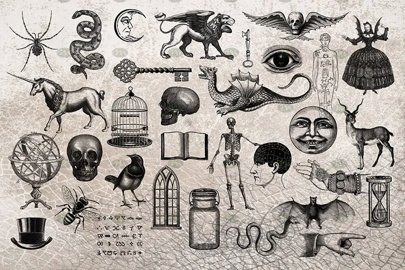 47个复古魔法元素|Procreate笔刷详情图 7