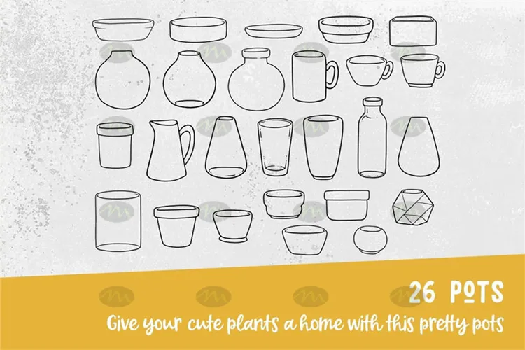 47个多肉植物仙人球图案|Procreate笔刷详情图 6