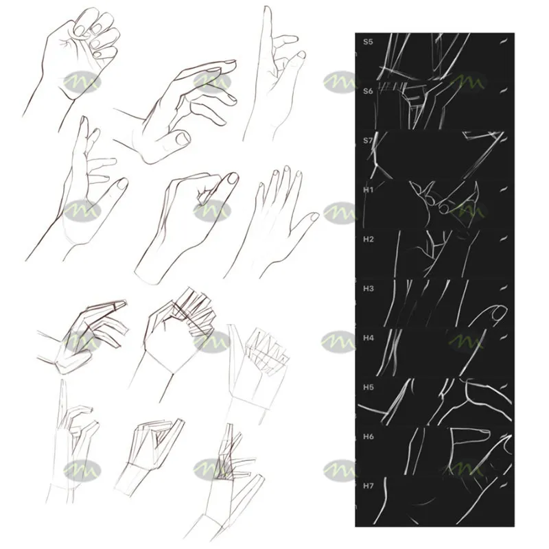 14个手势辅助线稿|Procreate笔刷详情图 8