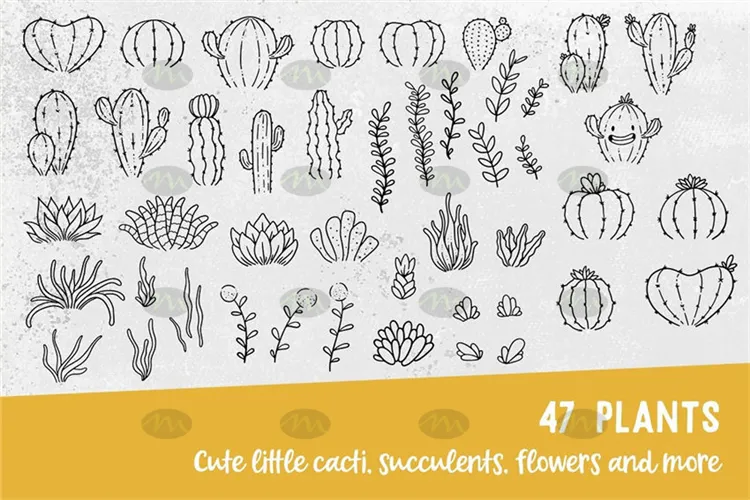 47个多肉植物仙人球图案|Procreate笔刷详情图 12
