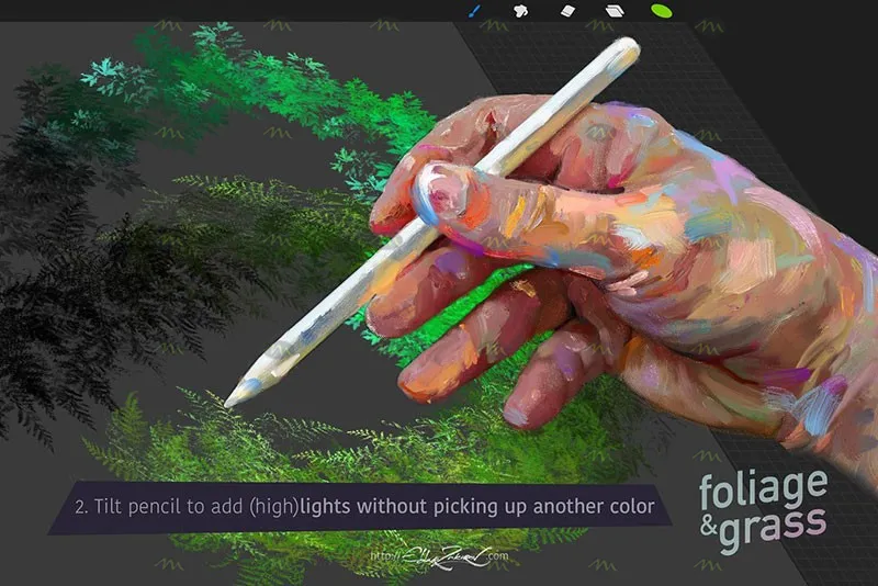 60个叶子和草丛|Procreate笔刷详情图 6