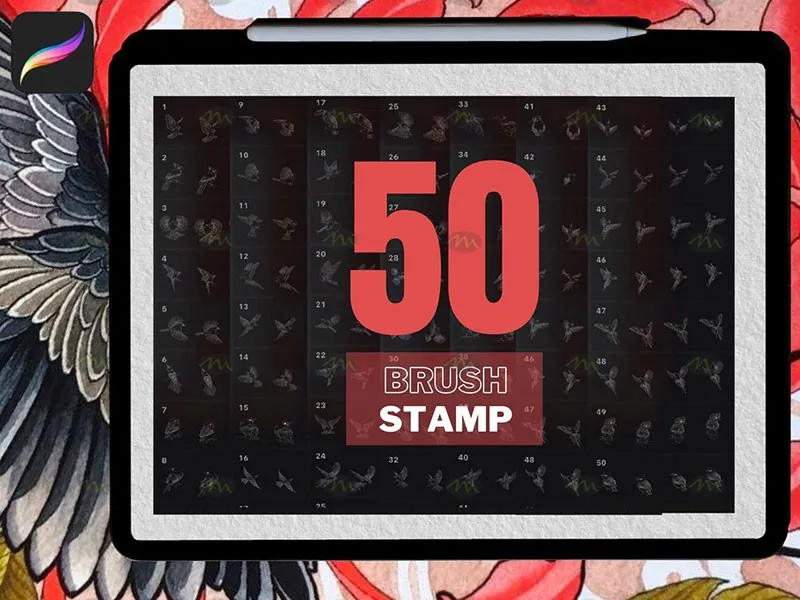 50个鸟类纹身图案|Procreate笔刷详情图 11