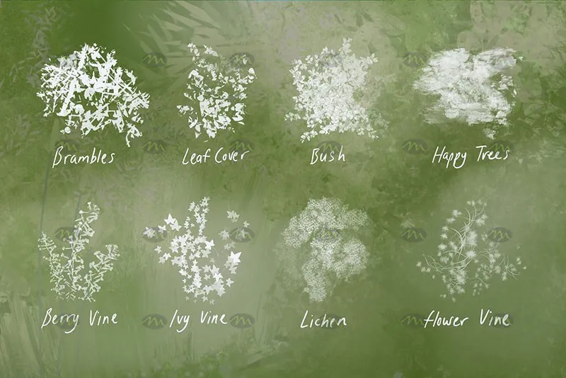 38个植物树叶|Procreate笔刷详情图 10