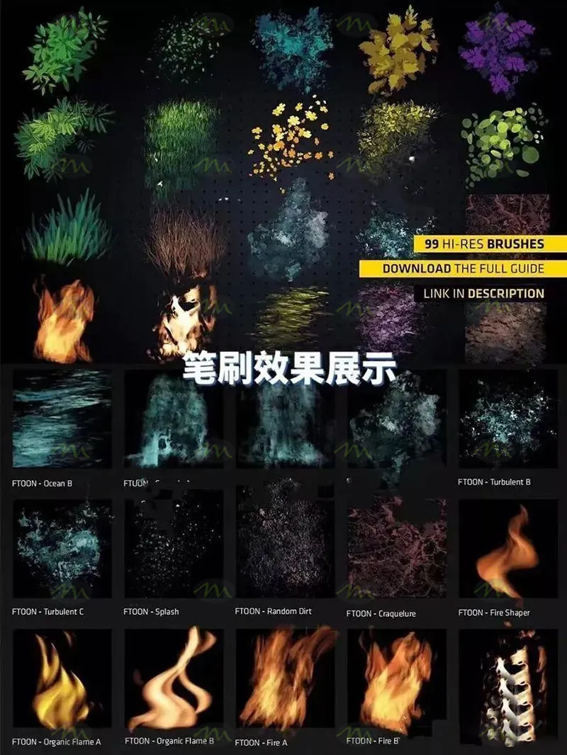 100个花草植物|Procreate笔刷详情图 7